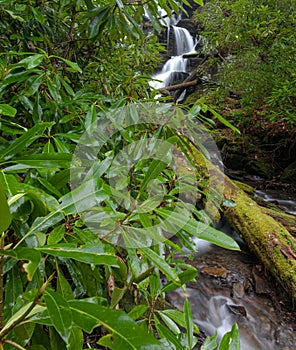 Waterfall on Fires Creek, Nantahala National Forest, NC