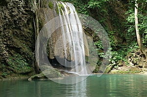 Waterfall with fish