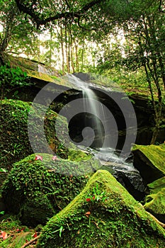 Waterfall flow from rock cliff in jungle with green park forest and sun light background landscape