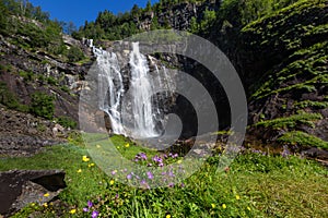 Waterfall with flowers on foreground, Skjervsfossen