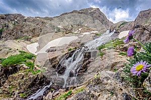 Waterfall and flowers in Rocky Mountain Landscape in Colorado, USA