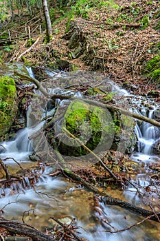 Waterfall flowing between branches and rocks