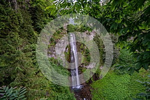 waterfall flowing through dense green forest.