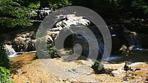 Waterfall flowing in the forest