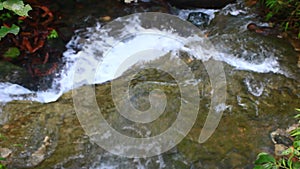 Waterfall flowing in the forest