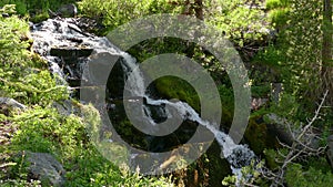 Waterfall Flowing in the Forest in California