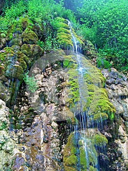 Forest waterfall streaming in The Caspian Hyrcanian forests , Iran