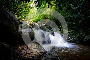 Waterfall is flowing in jungle. Waterfall in green forest. Mountain waterfall. Cascading stream in lush forest. Nature background