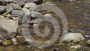 Waterfall are flowing through a rock during the shallow water