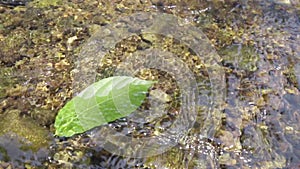 Waterfall are flowing through a rock during the shallow water