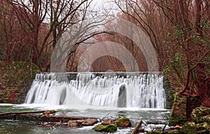 A waterfall that flows surrounded by trees