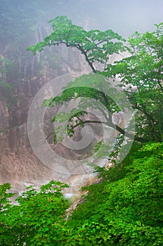 Waterfall foggy mountain view at Seoraksan National Park