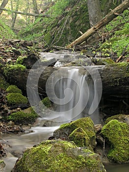 Waterfall in forest