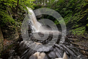 A waterfall in the Forest