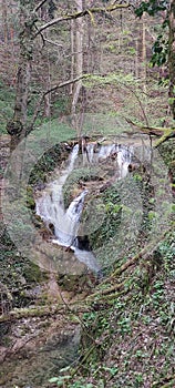 Waterfall in the forest