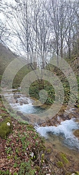 Waterfall in the forest