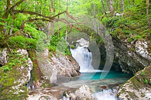 Waterfall in the forest