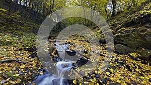 Waterfall in the forest