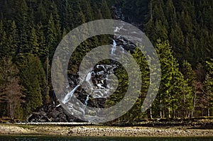 Waterfall in forest