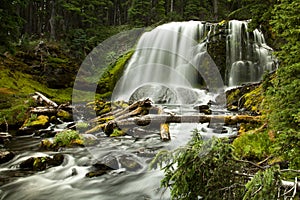 Waterfall in forest