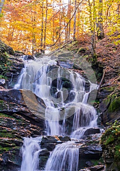 Waterfall in the forest. Autumn in the forest.