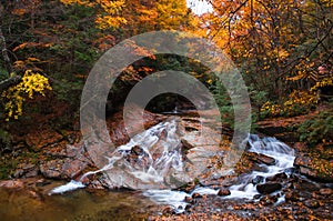 waterfall and sunshine in golden fall forest photo