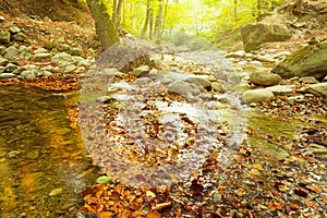 Waterfall, Forest, Autumn, Water, Sunny Day