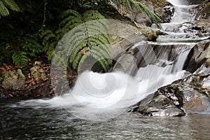 Waterfall in a forest Bali