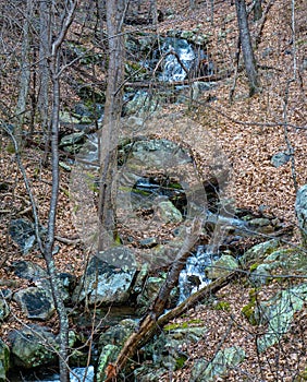 A Waterfall in the Forest of the Blue Ridge Mountains