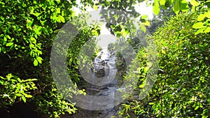 Waterfall in the forest Ciamis West Java