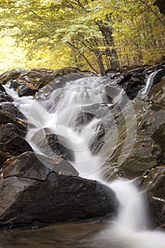 Waterfall in a forest with colorful trees