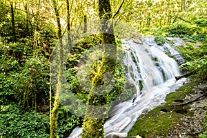 Waterfall in forest of Doi Inthanon National Park, Chiang Mai, T