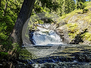 Waterfall in the forest of Elk River Idaho