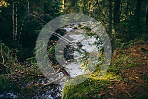 A waterfall in a forest
