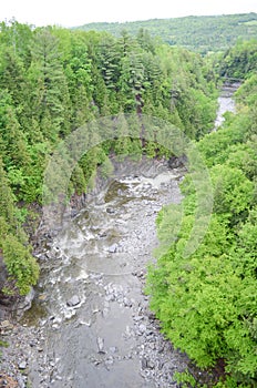 Cascata foresta 