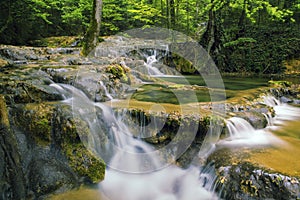 Waterfall in the forest. Landscape whit forest, flowers and waterfall.