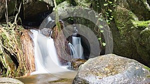 Waterfall in the forest at Mae Kampong, Chiang Mai, Thailand