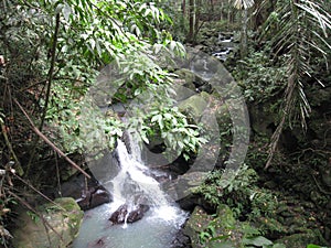 A waterfall in the forest at Makiling botanical gardens, Philippines