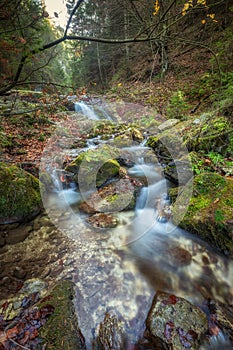 Waterfall in a forest of The Mala Fatra National Park