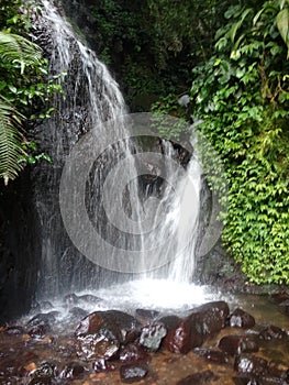 Waterfall in the forest and nice view