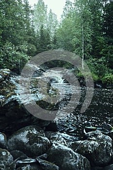 Waterfall in the forest. Summer day. Vertical composition