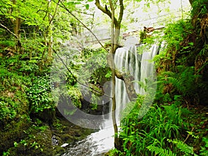 Waterfall    forest  river