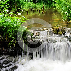 Waterfall in forest river.