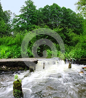 Waterfall in forest river.