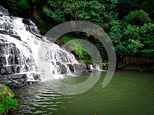 Waterfall in the forest. River Waterfall inside the forest. Clean and fresh water. Trees and plants on the sides of the waterfall.