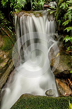 Waterfall in forest thailand