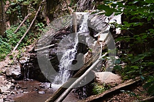 Waterfall in the forest, untouched forest