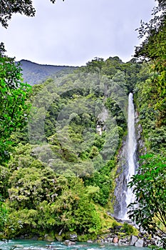 Waterfall in the forest in Westland National Park, New Zealand