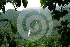 Waterfall on forested mountain