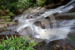 Waterfall in forrest